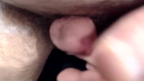 bobswan online show from 15, 3, 2026