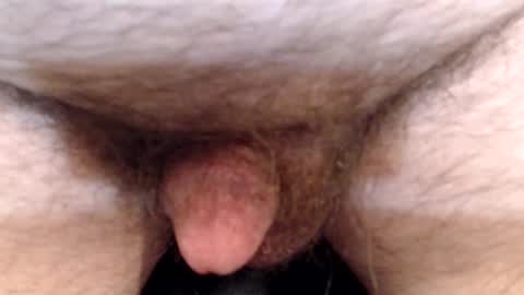 bobswan online show from 13, 4, 2026