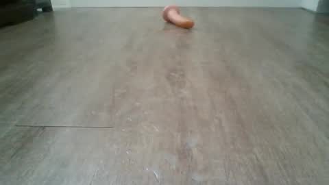 bocul1969 online show from 3, 2, 2026