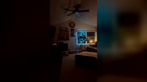 Snapshot of bodiddly64 chatting on 14, 12, 2025 bodiddly64 online show from 14, 12, 2025