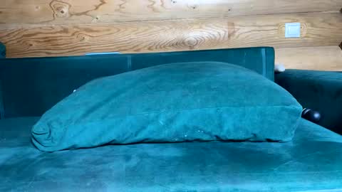 Snapshot of bohemianrhapsody1 chatting on 21, 10, 2025 Nail and Olivia online show from 21, 10, 2025