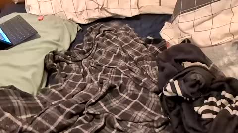 boiwithpussy online show from 16, 2, 2025