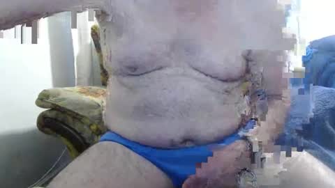 bolbil1 online show from 1, 10, 2025