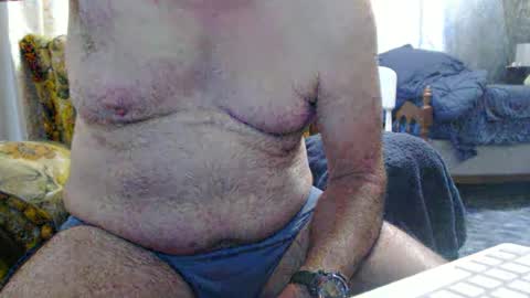 bolbil1 online show from 7, 10, 2025