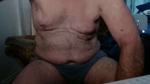 bolbil1 online show from 25, 2, 2026