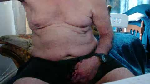 bolbil1 online show from 17, 3, 2026