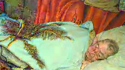 Bomber59potsdam online show from 12, 1, 2025