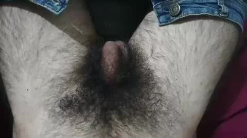 Snapshot of bomvemcam chatting on 29, 4, 2026 Im Bom - Tip if You Liked my Hairy Body - Private Show is Open - Read more about me in the bio below online show from 29, 4, 2026