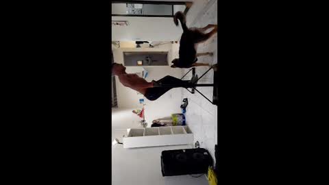 Boner Steve online show from 3, 11, 2025