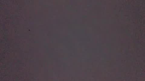 Snapshot of bonershow chatting on 21, 11, 2025 bonershow online show from 21, 11, 2025