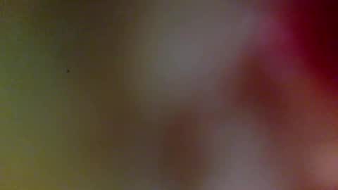 Snapshot of bonershow chatting on 9, 2, 2026 bonershow online show from 9, 2, 2026