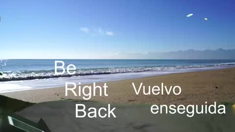 SkullBone online show from 11, 1, 2025