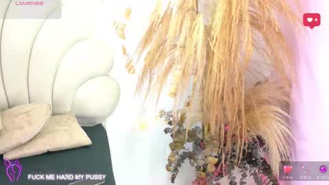 bonieklent online show from 3, 2, 2026