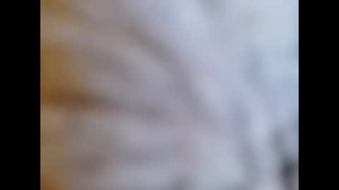 Snapshot of bonop1 chatting on 1, 1, 2025 bonop1 online show from 1, 1, 2025