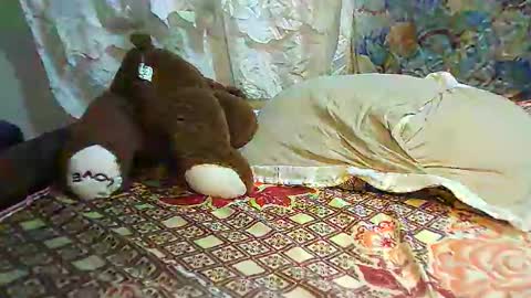 boobvherry online show from 11, 2, 2025