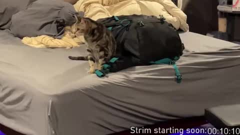 Booker Baxton online show from 25, 2, 2026