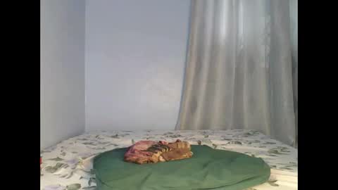 Snapshot of booty_panther chatting on 26, 9, 2025 sandrah online show from 26, 9, 2025