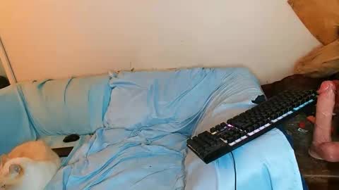 Snapshot of boredandirish21 chatting on 4, 10, 2025 boredandirish21 online show from 4, 10, 2025