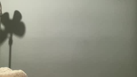 boselythornton1 online show from 29, 3, 2026