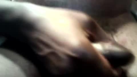 botofogo online show from 31, 10, 2025