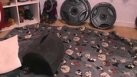 Pumpkin Butt online show from 10, 4, 2026