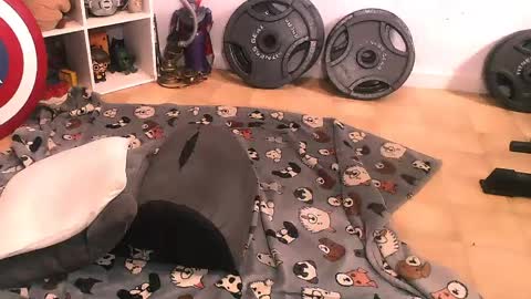 Pumpkin Butt online show from 11, 4, 2026