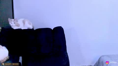 miguel  online show from 24, 11, 2025