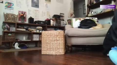 boywithbug online show from 12, 3, 2025