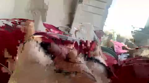 Snapshot of brad2518181 chatting on 21, 2, 2025 brad2518181 online show from 21, 2, 2025