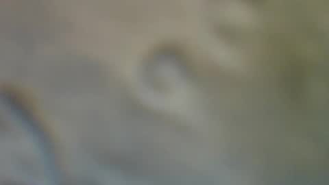 Snapshot of bradynoggle chatting on 11, 9, 2025 bradynoggle online show from 11, 9, 2025