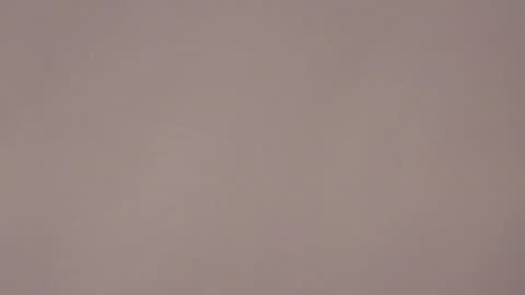 Brandy online show from 17, 1, 2026