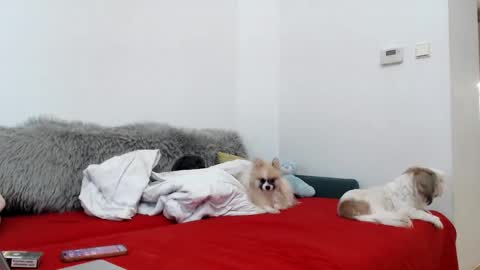 bratzdoll1994 online show from 4, 11, 2025