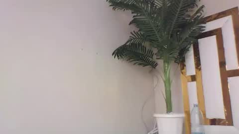 brennan online show from 14, 2, 2025