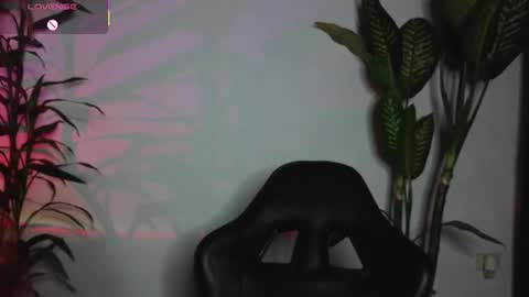 Bri  online show from 25, 3, 2026