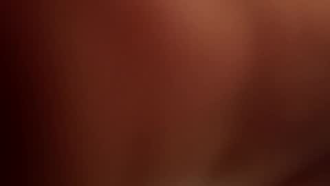 BB online show from 2, 4, 2026