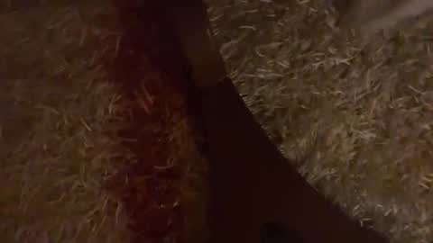 Brian boy online show from 28, 10, 2025