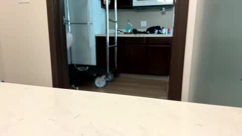 brickmeup online show from 8, 4, 2026