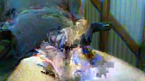brissy8091 online show from 31, 5, 2026