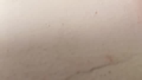 Brittany  online show from 14, 9, 2025