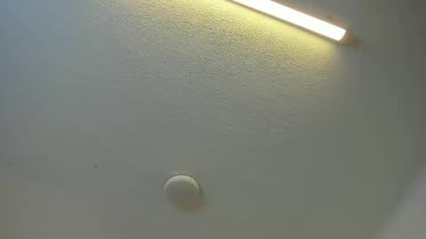 Brittany  online show from 29, 3, 2026