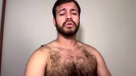 brtiotter online show from 19, 9, 2025