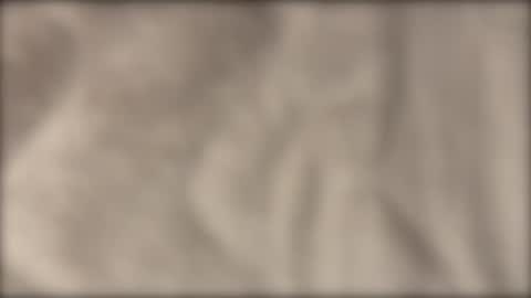 lvdy online show from 22, 2, 2026