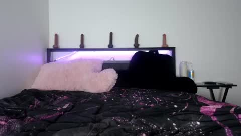 Snapshot of bubble_girl_lo chatting on 29, 6, 2026 Queen Lola XXX online show from 29, 6, 2026