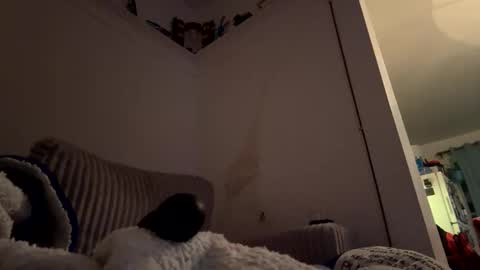 Snapshot of bubblya chatting on 20, 2, 2026 bubblya online show from 20, 2, 2026