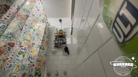 Snapshot of bukkakebae chatting on 11, 9, 2025 bukkakebae online show from 11, 9, 2025