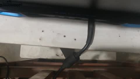 Snapshot of buldgeinboxer chatting on 18, 1, 2026 buldgeinboxer online show from 18, 1, 2026