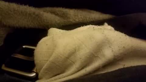 ejaculation for 250 online show from 7, 2, 2026