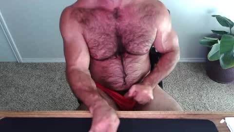 Snapshot of bullbud chatting on 8, 6, 2026 Wrestling Dads.. hit me up. online show from 8, 6, 2026