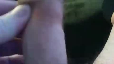 bullemoe online show from 9, 1, 2025