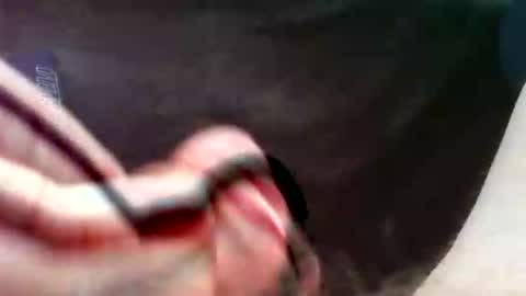 bullemoe online show from 16, 9, 2025